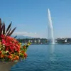 Image of On the Water