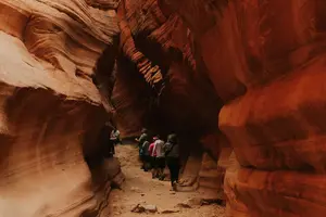 Tour image of Peekaboo Slot Canyon + Great Chamber Loop - UTV - YOU DRIVE!