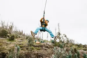 Tour image of Haleakala 6 Line Zipline Adventure