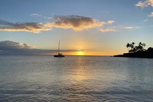 Tour image of 1/2 Circle Island & North Shore Activities with The Surf Bus