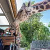 Image of Zoos & Wildlife Parks
