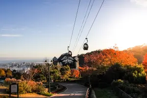 Tour image of Kobe Private Customizable Full Day Tour
