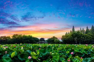Tour image of Hangzhou West Lake and Tea Plantation Half Day Tour