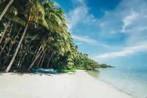 Tour image of Panglao's Best Hinagdanan Cave, Bee Farm, Mirror of the World