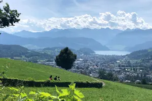 Tour image of Half-Day Lake Lucerne Country Walk