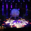 Image of Circus Shows