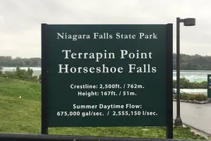 Tour image of Niagara Falls Night Illumination Tour: American, Bridal and Horseshoe Falls