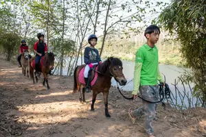 Tour image of Pony Riding in Luang Prabang