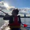 Image of Kayaking Tours