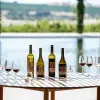Image of Wine, Beer & Spirits