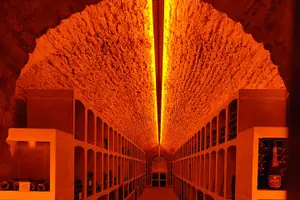Tour image of Independent visit DE cellar and tasting in the vineyards
