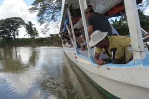 Tour image of Jungle Crocodile Safari and Bird Watching tour/Tarcoles River CR