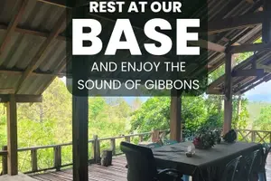 Tour image of Elephant and Gibbon Encounters - 5days/4nights