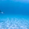 Image of Float Trips