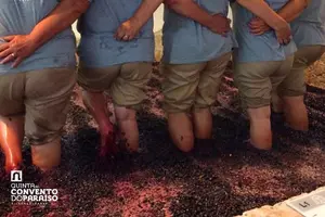 Tour image of Algarve wine tour and lunch in Silves or time to visit the city