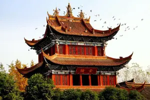 Tour image of Chengdu Private Sightseeing Tour with Panda Breeding Center Visit