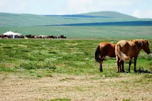 Tour image of Central Mongolia tour 6 days