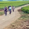 Image of Mountain Bike Tours