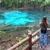 Image of Nature Walks