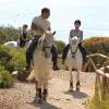 Image of Horseback Riding