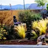Image of Active & Outdoor Classes