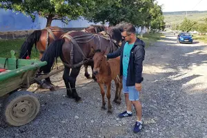 Tour image of 10-Day Private Tour of Romania with Pick Up