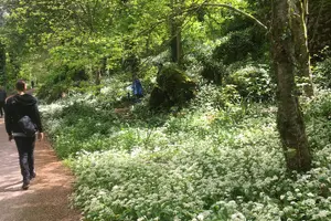 Tour image of Private Killarney Tour