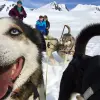 Image of Sledding