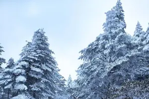Tour image of Jiaozi Snow Mountain Hiking Private Tour
