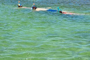 Tour image of Escape Rooms Outdoors on the Waters of Key West!