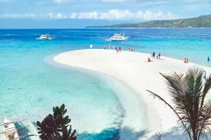 Tour image of Whale Shark Watching and Sumilon Sandbar Private Tour Package