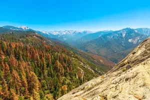 Tour image of Sequoia and Kings Canyon Audio Tour Self Guide National Park Tour