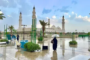 Tour image of Uhud Experience Tour