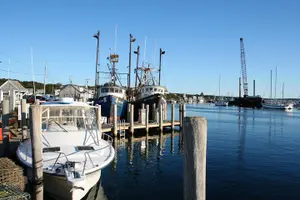 Tour image of All New Shared Jaws tour Budget Friendly