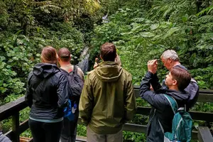 Tour image of Guided Walk to the Monteverde Cloud Forest Preserve