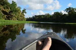 Tour image of 3-day Tortuguero Expedition