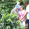 Image of Plantation Tours