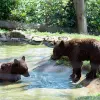 Image of Nature Parks