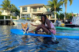 Tour image of SUP PUP Paddleboard Tour