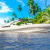 Image of Coffee Cruises