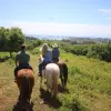 Image of Pack Animal Tours
