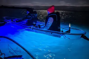 Tour image of Glowing Kayak Tour Port Aransas - Lighthouse Lakes
