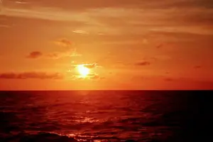 Tour image of ALL INCLUSIVE Full Day snorkeling & sunset cruise with boat dogs