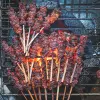 Image of Culinary Tours