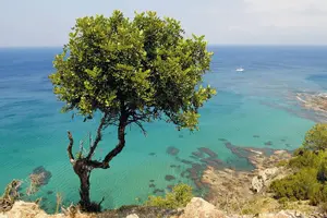 Tour image of Pafos Zoo Visit & Blue Lagoon Cruise with Local Guide Limassol