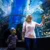 Image of Zoos & Wildlife Parks