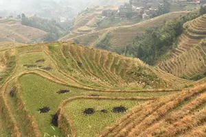 Tour image of Longsheng Rice Terraces 1-night Accommodation with 2-way Transfer from Guilin