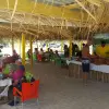 Image of Plantation Tours