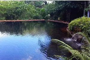 Tour image of Pulangbato Falls Tour & Hot Spring From Dumaguete