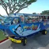 Image of Duck Boat Tours